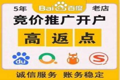 某公司如何通过SEM实现精准营销——从策略到执行的完整案例